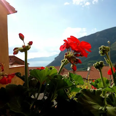 Relaxmaratea - La Randa *